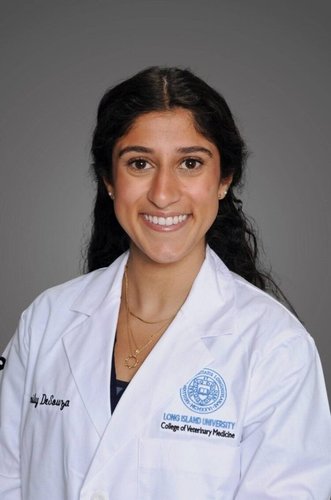 Emily DeSouza, DVM
